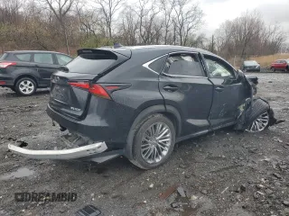 2021 Lexus NX 300 с VIN JTJDARDZ5M5031813, выставлен на аукционе Copart как лот 46487825 с пробегом 23 202 миль миль и Списание • Salvage title. История ставок и продаж доступна на DreamBid. Изображение 3.