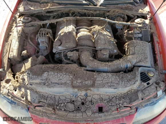 2005 Pontiac GTO with VIN 6G2VX12U95L427522, listed as a Copart auction lot 77687754 with 0 mi miles and Salvage Title. Bid and sale history available at carsss.com. Image 11.