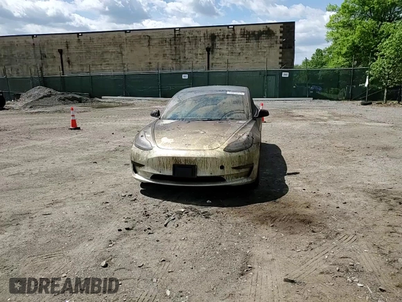 2021 Tesla Model 3 Standard Range Plus z VIN 5YJ3E1EA1MF096234, wystawiony jako Copart lot #53093815 z przebiegiem 14 019 mil mil oraz Szkody całkowita. Historia ofert i sprzedaży dostępna na DreamBid. Obrazek 13.