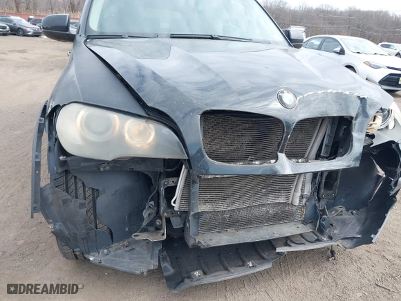 2009 BMW X5 30i with VIN 5UXFE43579L037535, listed as a IAAI auction lot 41715317 with 210,697 mi miles. Bid and sale history available at carsss.com. Image 18.
