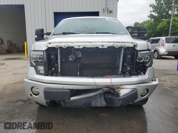 2010 Ford F-150 XL with VIN 1FTEW1C81AKB37935, listed as a Copart auction lot 62644595 with 185,465 mi miles and Salvage title. Bid and sale history available at DreamBid. Image 5.