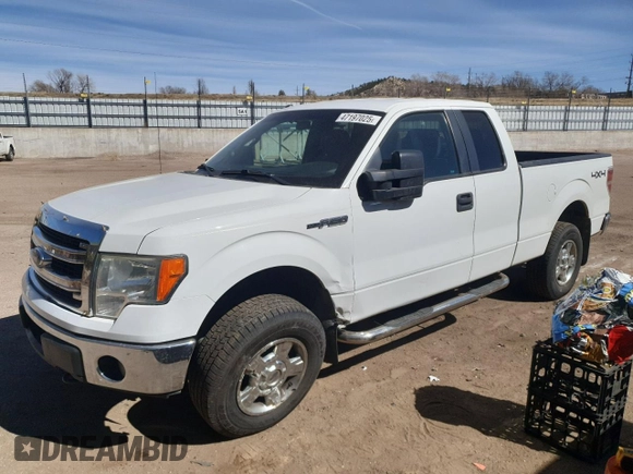 2014 Ford F-150 XL with VIN 1FTFX1EF7EFB88139, listed as a Copart auction lot 47197025 with 170,819 mi miles and Salvage title. Bid and sale history available at DreamBid. Image 1.