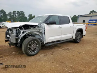 2025 Toyota Tundra SR with VIN 5TFLA5AB9SX043172, listed as a Copart auction lot 57094145 with 7,494 mi miles and Salvage title. Bid and sale history available at DreamBid. Image 1.