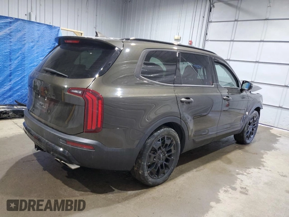 2022 Kia Telluride SX with VIN 5XYP5DHC2NG276672, listed as a Copart auction lot 53269885 with 44,780 mi miles and Salvage title. Bid and sale history available at DreamBid. Image 3.