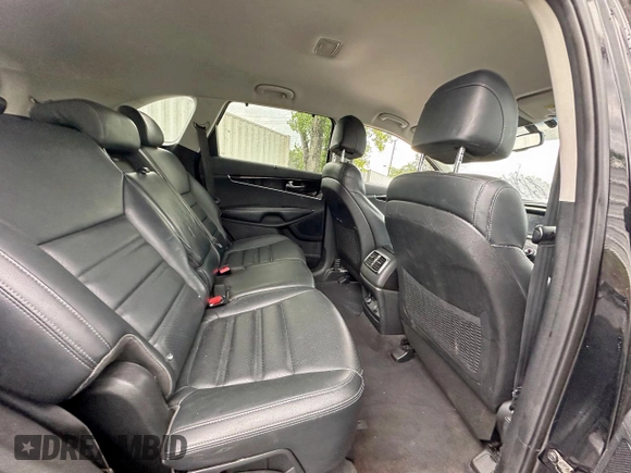 2017 Kia Sorento EX with VIN 5XYPH4A59HG202186, listed as a Copart auction lot 55899125 with 170,027 mi miles and Clean title. Bid and sale history available at DreamBid. Image 6.