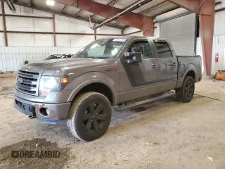 2014 Ford F-150 XL with VIN 1FTFW1ET3EFC87565, listed as a Copart auction lot 49617765 with 159,521 mi miles and Salvage Title. Bid and sale history available at carsss.com. Image 1.