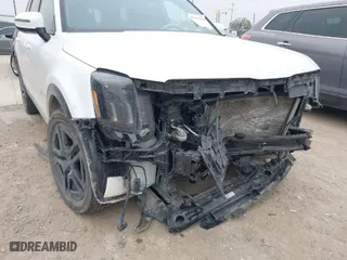 2024 Kia Telluride SX Prestige X-Pro with VIN 5XYP5DGCXRG490882, listed as a IAAI auction lot 41634304 with 30,476 mi miles. Bid and sale history available at carsss.com. Image 6.