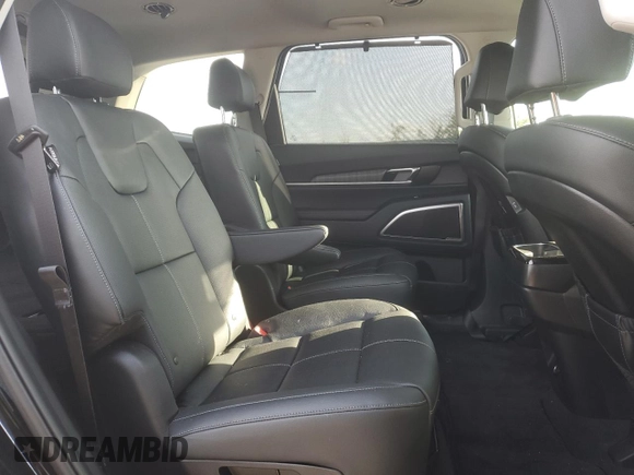 2025 Kia Telluride EX with VIN 5XYP34GC5SG568304, listed as a Copart auction lot 61524815 with 12,491 mi miles and Salvage title. Bid and sale history available at DreamBid. Image 11.