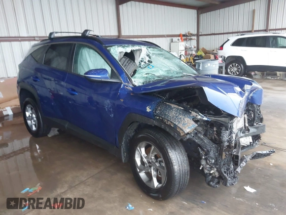 2023 Hyundai Tucson SEL with VIN 5NMJBCAE1PH293069, listed as a IAAI auction lot 41551241 with 18,819 mi miles. Bid and sale history available at carsss.com. Image 1.