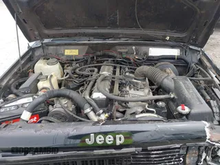 1994 Jeep Cherokee Sport with VIN 1J4FJ68S1RL160023, listed as a IAAI auction lot 41968610 with 255,978 mi miles. Bid and sale history available at carsss.com. Image 10.