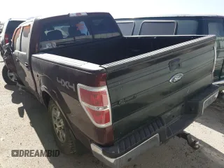 2009 Ford F-150 XL z VIN 1FTPW14V29FA65239, wystawiony jako Copart lot #54995405 z przebiegiem 144 113 mil mil oraz Szkody całkowita. Historia ofert i sprzedaży dostępna na DreamBid. Obrazek 2.