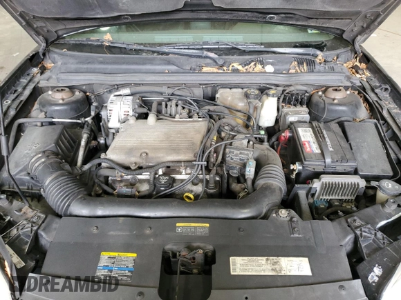 2004 Chevrolet Malibu Maxx LT with VIN 1G1ZU64894F174353, listed as a Copart auction lot 81935824 with 239,775 mi miles and Salvage Title. Bid and sale history available at carsss.com. Image 11.