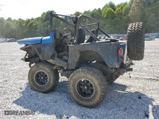 1993 Jeep Wrangler "S" with VIN 1J4FY19P3PP244827, listed as a Copart auction lot 68278774 with 0 mi miles and Salvage Title. Bid and sale history available at carsss.com. Image 2.