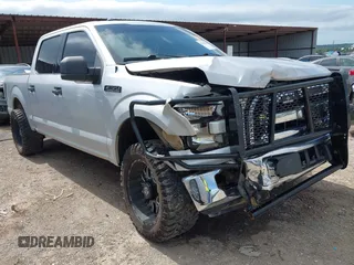 2016 Ford F-150 XLT with VIN 1FTEW1EG7GKD96975, listed as a IAAI auction lot 42539056 with 183,242 mi miles and . Bid and sale history available at DreamBid. Image 1.