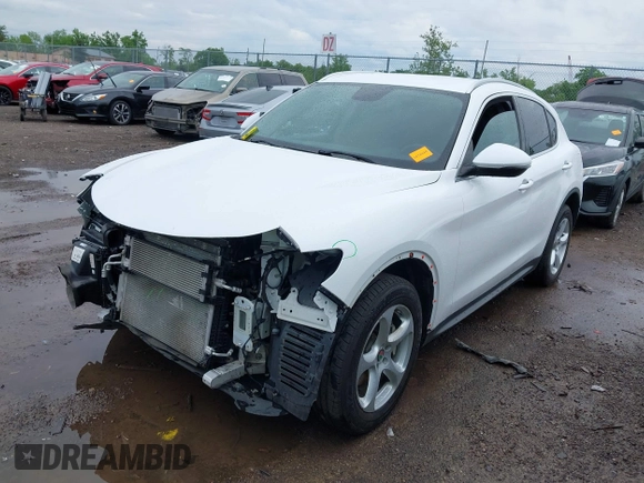 2019 Alfa Romeo Stelvio z VIN ZASPAKAN6K7C73740, wystawiony jako IAAI lot #42296395 z przebiegiem 49 646 mil mil oraz . Historia ofert i sprzedaży dostępna na DreamBid. Obrazek 18.