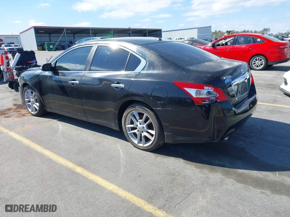 2010 Nissan Maxima 3.5 SV w/Premium Pkg with VIN 1N4AA5AP7AC864706, listed as a IAAI auction lot 41790785 with 199,205 mi miles. Bid and sale history available at carsss.com. Image 3.