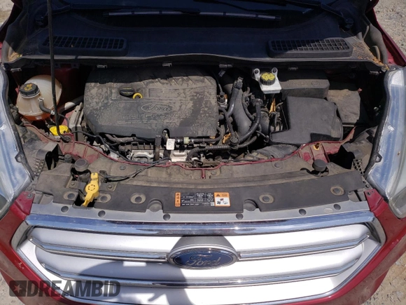 2017 Ford Escape SE with VIN 1FMCU0GD0HUC90038, listed as a Copart auction lot 54340005 with 115,717 mi miles and Clean Title. Bid and sale history available at DreamBid. Image 11.