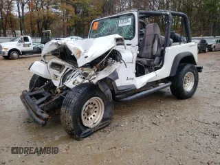 1995 Jeep Wrangler S with VIN 1J4FY19P7SP205053, listed as a Copart auction lot 84003534 with 215,769 mi miles and Salvage Title. Bid and sale history available at carsss.com. Image 1.