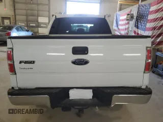 2013 Ford F-150 XL with VIN 1FTFW1ET6DFD16958, listed as a Copart auction lot 46239485 with 163,442 mi miles and Salvage Title. Bid and sale history available at carsss.com. Image 6.