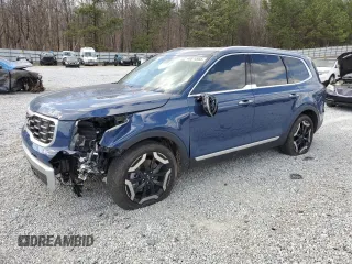 2023 Kia Telluride S with VIN 5XYP64GC7PG405796, listed as a Copart auction lot 48874985 with 31,164 mi miles and Salvage Title. Bid and sale history available at carsss.com. Image 1.