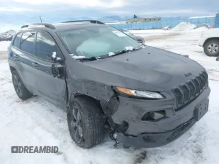 2017 Jeep Cherokee High Altitude with VIN 1C4PJMDS5HW632810, listed as a IAAI auction lot 41627330 with 123,927 mi miles and . Bid and sale history available at DreamBid. Image 1.