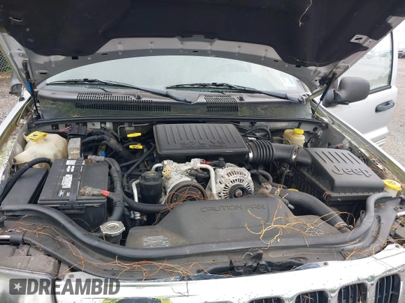 2004 Jeep Grand Cherokee Laredo with VIN 1J4GW48N34C145956, listed as a IAAI auction lot 42201114 with 137,815 mi miles and . Bid and sale history available at DreamBid. Image 9.