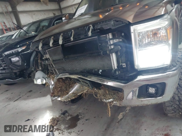 2012 Ford F-250 XL with VIN 1FT7W2BT8CEB20622, listed as a IAAI auction lot 41590562 with 131,413 mi miles and . Bid and sale history available at DreamBid. Image 6.