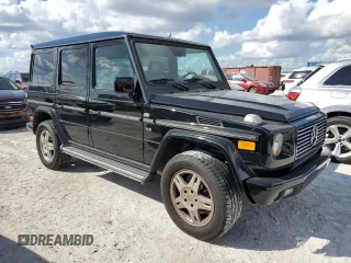 2002 Mercedes-Benz G-Class with VIN WDCYR49E02X133926, listed as a Copart auction lot 78195364 with 0 mi miles and Salvage Title. Bid and sale history available at carsss.com. Image 4.