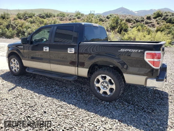 2009 Ford F-150 XL with VIN 1FTRW12889FB46414, listed as a Copart auction lot 57689325 with 197,779 mi miles and Salvage title. Bid and sale history available at DreamBid. Image 2.