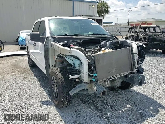 2016 Ford F-150 XLT with VIN 1FTEW1EFXGKE48610, listed as a Copart auction lot 59703975 with 174,044 mi miles and Salvage title. Bid and sale history available at DreamBid. Image 14.