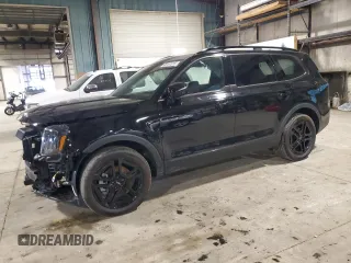 2024 Kia Telluride SX X-Line с VIN 5XYP5DGC3RG461577, выставлен на аукционе Copart как лот 60151515 с пробегом 6 609 миль миль и Списание • Salvage title. История ставок и продаж доступна на DreamBid. Изображение 1.