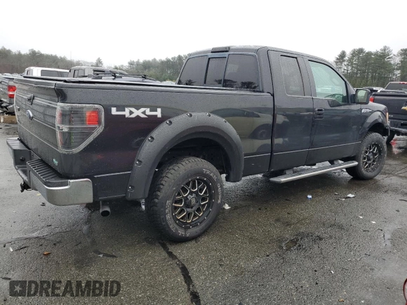 2010 Ford F-150 XL with VIN 1FTFX1EVXAFA78901, listed as a Copart auction lot 49367185 with 141,844 mi miles and Salvage Title. Bid and sale history available at carsss.com. Image 3.