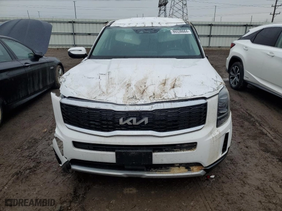 2022 Kia Telluride LX with VIN 5XYP2DHC9NG282137, listed as a Copart auction lot 86538664 with 0 mi miles and Salvage Title. Bid and sale history available at carsss.com. Image 5.