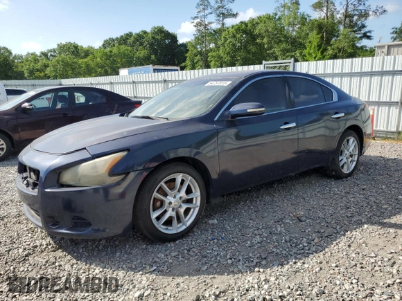 2009 Nissan Maxima SV with VIN 1N4AA51E09C857199, listed as a Copart auction lot 54757815 with 213,356 mi miles and Clean Title. Bid and sale history available at DreamBid. Image 1.