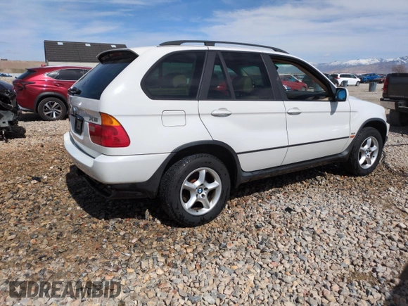 2002 BMW X5 3.0i with VIN 5UXFA53552LP32958, listed as a Copart auction lot 48725735 with 293,202 mi miles and Salvage Title. Bid and sale history available at carsss.com. Image 3.