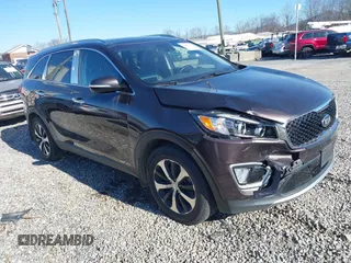 2017 Kia Sorento EX with VIN 5XYPHDA50HG232502, listed as a IAAI auction lot 41081275 with 124,702 mi miles and . Bid and sale history available at carsss.com. Image 1.