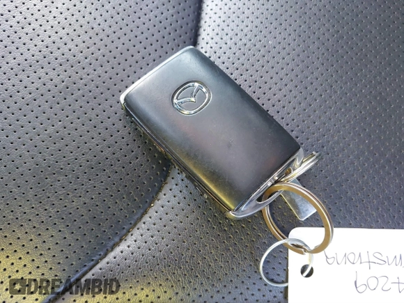 2021 Mazda CX-9 Touring with VIN JM3TCACY4M0522302, listed as a IAAI auction lot 41323543 with 35,223 mi miles and . Bid and sale history available at DreamBid. Image 11.