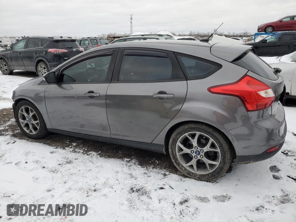 2014 Ford Focus SE with VIN 1FADP3K21EL394181, listed as a Copart auction lot 46388205 with 132,759 mi miles and Clean Title. Bid and sale history available at carsss.com. Image 2.