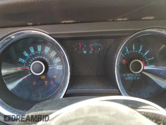 2013 Ford Mustang V6 with VIN 1ZVBP8AM4D5245488, listed as a Copart auction lot 53829135 with 123,512 mi miles and Salvage Title. Bid and sale history available at carsss.com. Image 9.