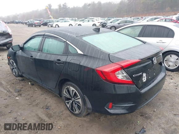 2017 Honda Civic Sedan EX-L with VIN 19XFC1F71HE213764, listed as a IAAI auction lot 41843279 with 49,748 mi miles. Bid and sale history available at carsss.com. Image 3.