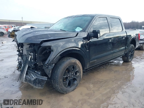 2023 Ford F-150 XL with VIN 1FTFW1EDXPFA92459, listed as a IAAI auction lot 41480300 with 36,786 mi miles. Bid and sale history available at carsss.com. Image 16.