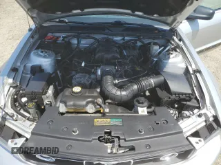 2009 Ford Mustang z VIN 1ZVHT80N595137873, wystawiony jako Copart lot #60161505 z przebiegiem Nie podano mil oraz Szkoda całkowita • Salvage title. Historia ofert i sprzedaży dostępna na DreamBid. Obrazek 11.