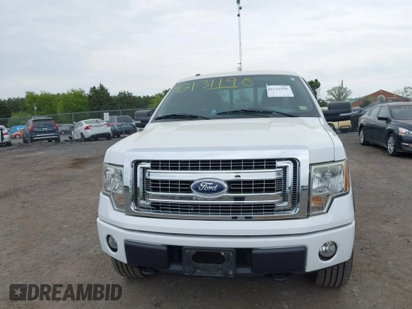 2010 Ford F-150 XL with VIN 1FTFX1EV2AFD40281, listed as a IAAI auction lot 42131196 with 169,058 mi miles. Bid and sale history available at carsss.com. Image 12.