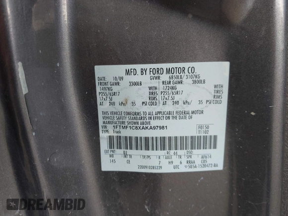 2010 Ford F-150 XL with VIN 1FTMF1C8XAKA97981, listed as a IAAI auction lot 41823694 with 123,028 mi miles. Bid and sale history available at carsss.com. Image 9.