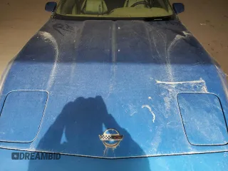 1992 Chevrolet Corvette with VIN 1G1YY23PXN5118138, listed as a Copart auction lot 47565185 with 0 mi miles and Salvage Title. Bid and sale history available at carsss.com. Image 11.