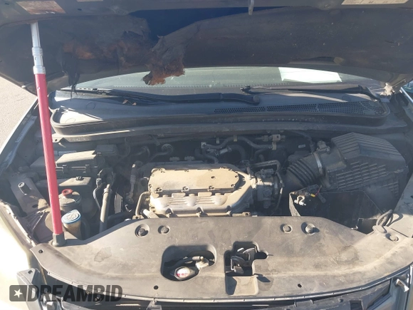 2008 Honda Odyssey EX-L with VIN 5FNRL38768B048522, listed as a IAAI auction lot 40461088 with 280,144 mi miles and . Bid and sale history available at DreamBid. Image 10.
