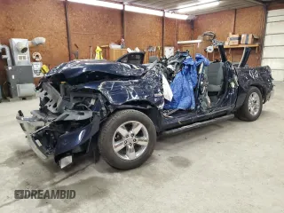 2017 Ram 1500 Big Horn with VIN 3C6RR7LT8HG524166, listed as a Copart auction lot 51959295 with 111,637 mi miles and Salvage Title. Bid and sale history available at carsss.com. Image 1.