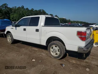 2013 Ford F-150 XL with VIN 1FTFW1CF3DFA68682, listed as a Copart auction lot 61295665 with 139,134 mi miles and Salvage title. Bid and sale history available at DreamBid. Image 2.