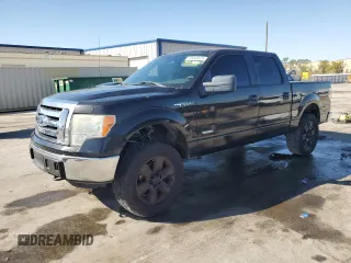 2012 Ford F-150 XL with VIN 1FTFW1ET9CFA61740, listed as a Copart auction lot 49043575 with 133,665 mi miles and Salvage title. Bid and sale history available at DreamBid. Image 1.