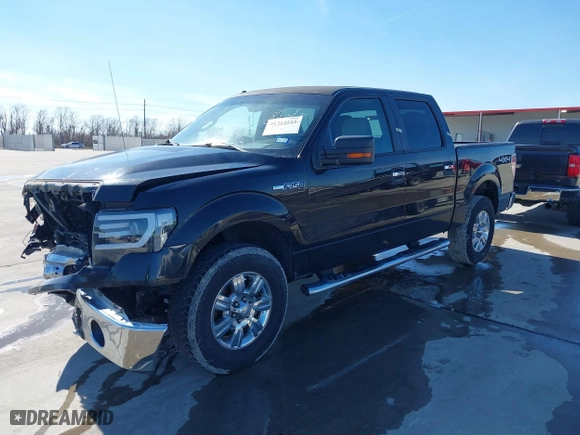 2010 Ford F-150 XL with VIN 1FTEW1E87AFC49449, listed as a IAAI auction lot 41312515 with 226,355 mi miles. Bid and sale history available at carsss.com. Image 17.
